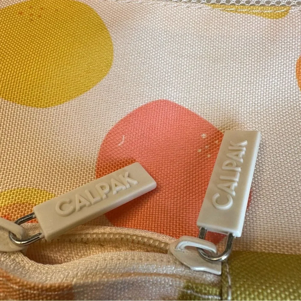Calpak‎ Citrus Fruits Large Packing Cube 16x11x2
